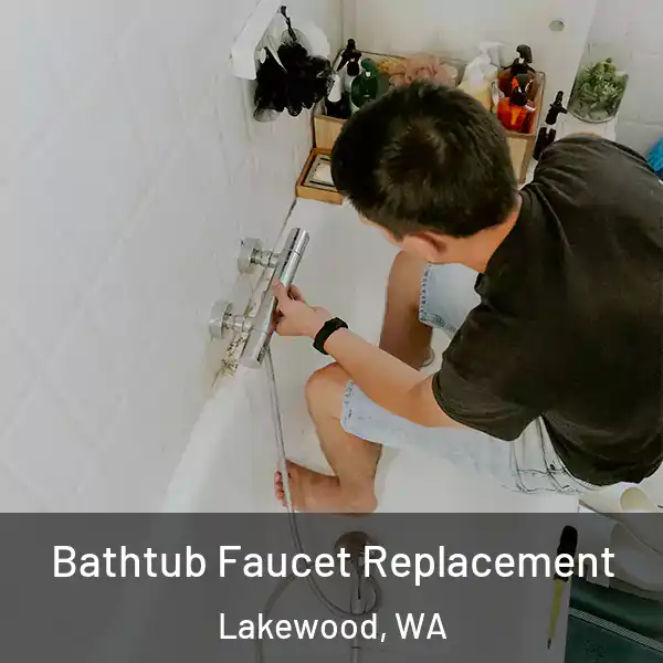 Bathtub Faucet Replacement Lakewood, WA