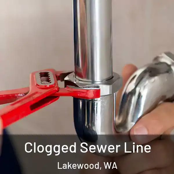  Clogged Sewer Line Lakewood, WA