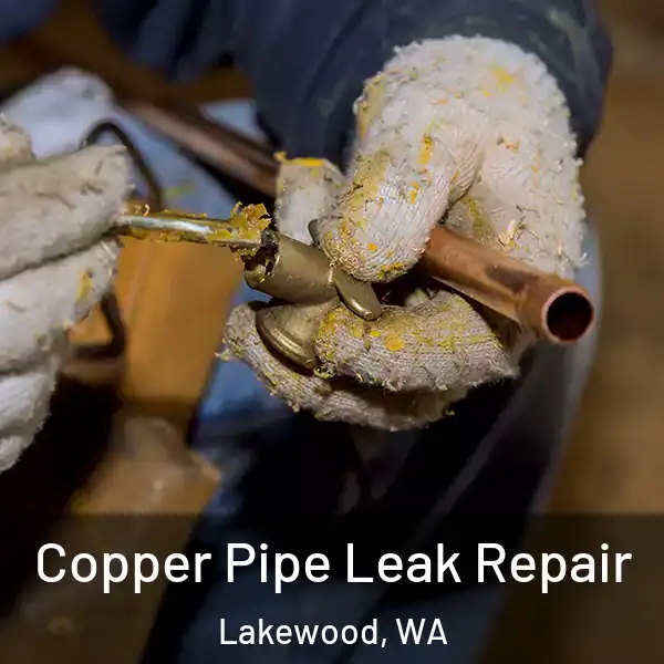  Copper Pipe Leak Repair Lakewood, WA