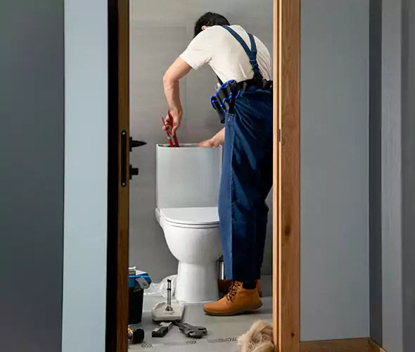 Professional Plumbers for Toilet Bowl Replacement in Lakewood, WA: Schedule Affordable Toilet Replacement Services With Us