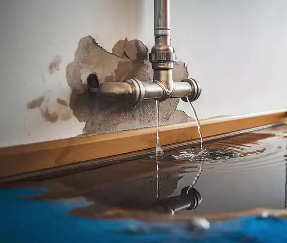 Professional Water Damage Restoration Experts in Lakewood, WA — Fast, Reliable & Certified