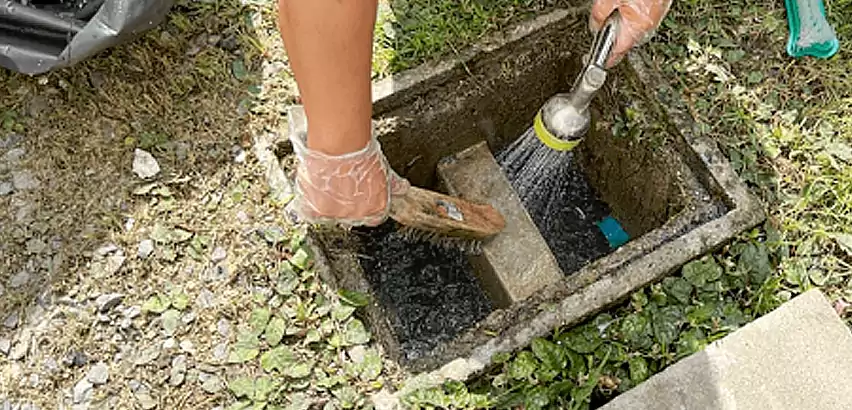 Professional Grease Trap Cleaning Services in Lakewood, WA