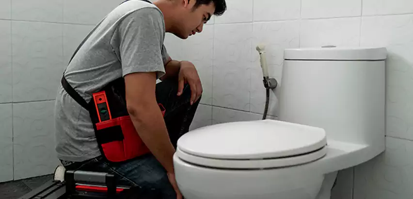 Toilet Repair in Lakewood