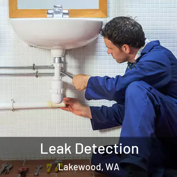  Leak Detection Lakewood, WA