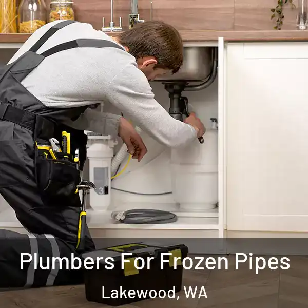 Plumbers For Frozen Pipes Lakewood, WA