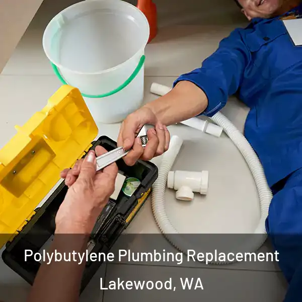  Polybutylene Plumbing Replacement Lakewood, WA