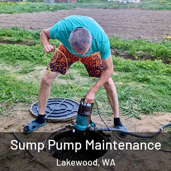  Sump Pump Maintenance Lakewood, WA