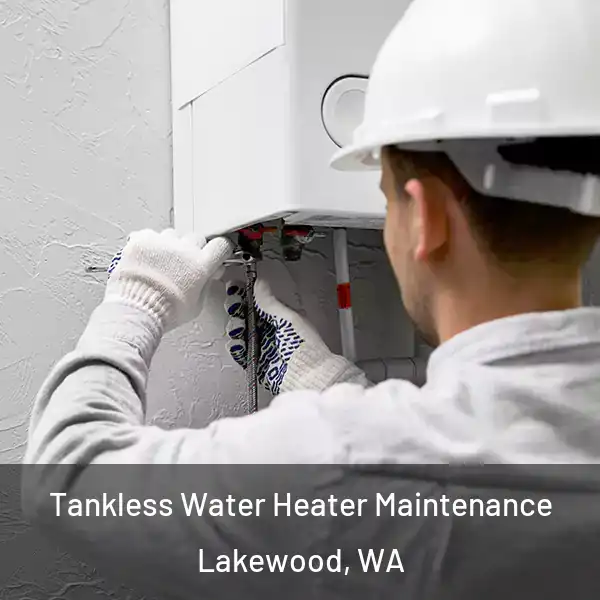  Tankless Water Heater Maintenance Lakewood, WA