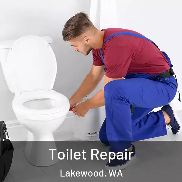  Toilet Repair Lakewood, WA