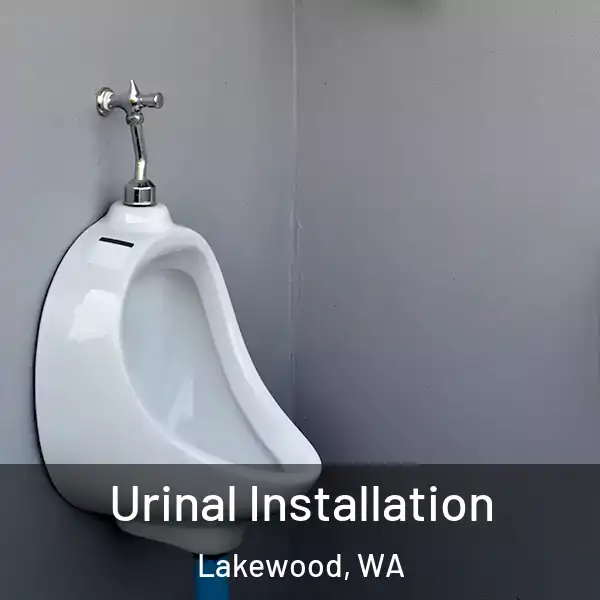  Urinal Installation Lakewood, WA