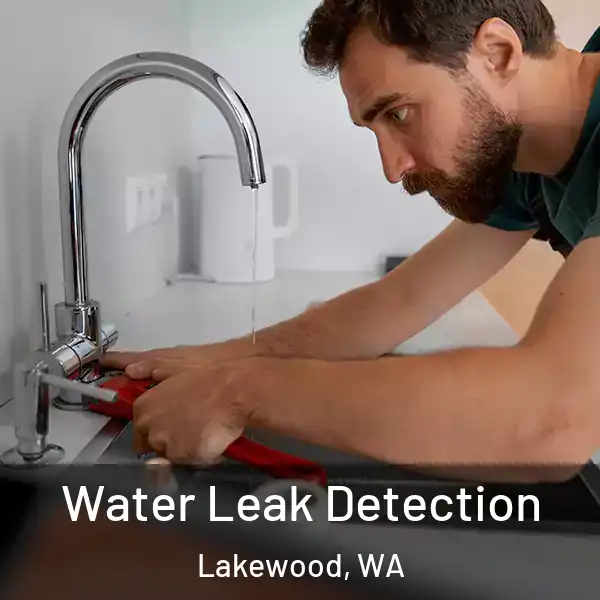  Water Leak Detection Lakewood, WA